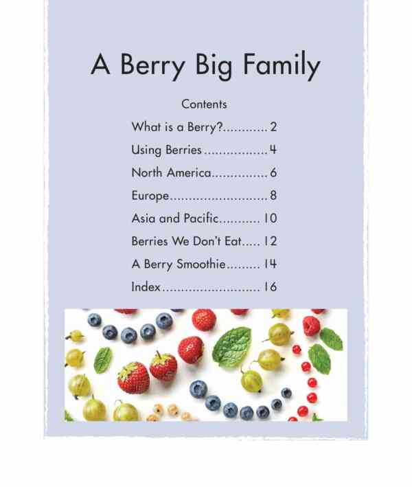 A Berry Big Family - Level 13, 1x6 books - Image 2