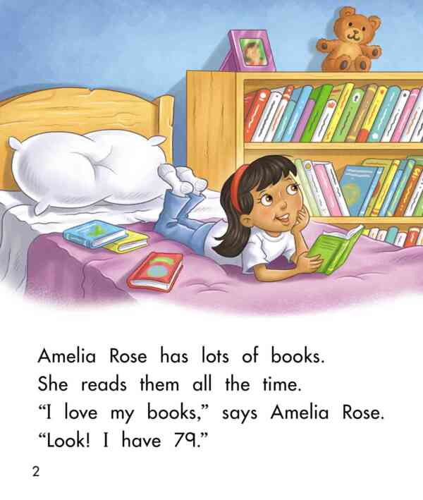 Amelia Rose Loves to Read - Level 10, 1x6 books - Image 3