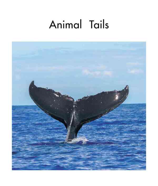 Animal Tails - Level 6, 1x6 books - Image 2