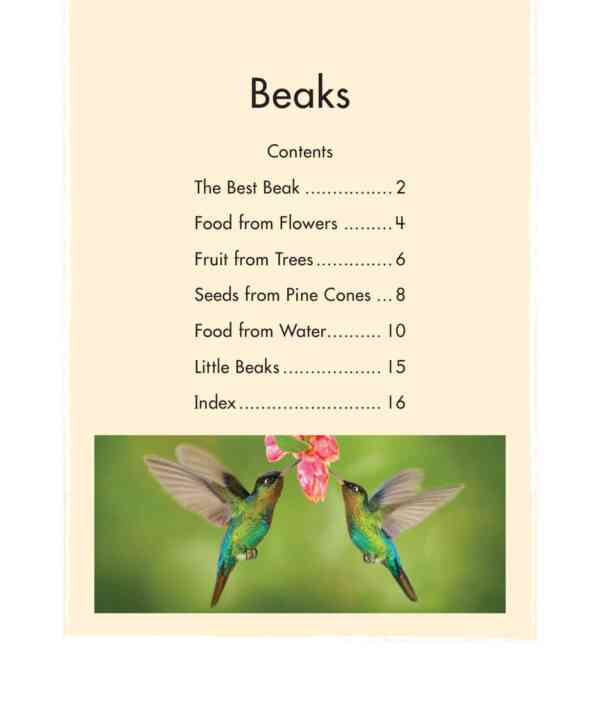 Beaks - Level 12, 1x6 books - Image 2