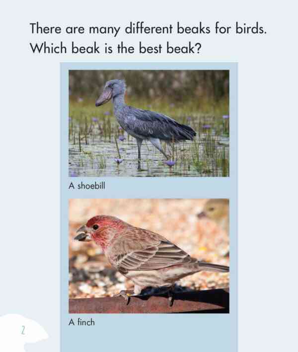 Beaks - Level 12, 1x6 books - Image 3