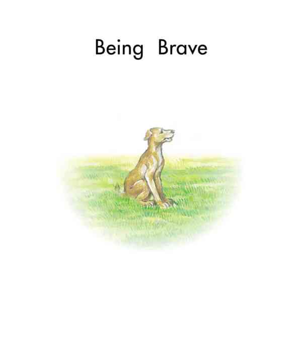 Being Brave - Level 6, 1x6 books - Image 2