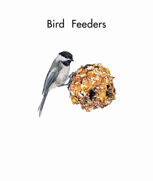 Bird Feeders - Level 7, 1x6 books - Image 2