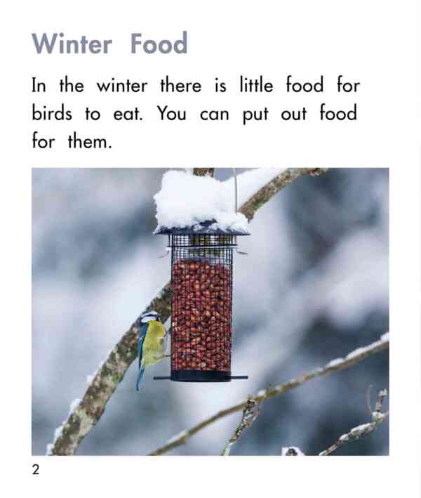 Bird Feeders - Level 7, 1x6 books - Image 3