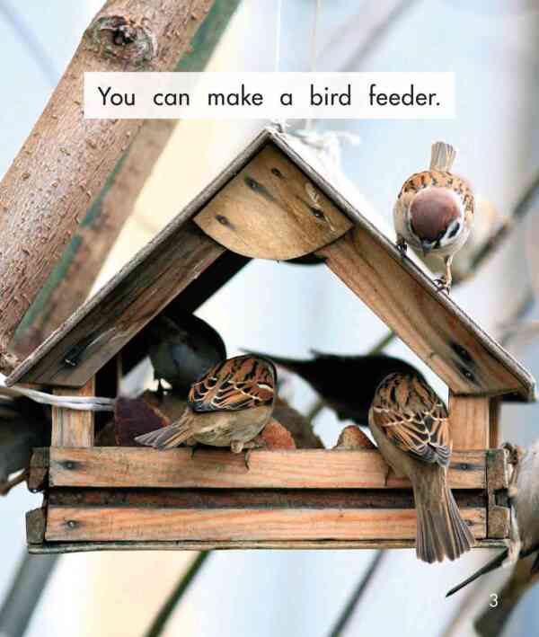 Bird Feeders - Level 7, 1x6 books - Image 4