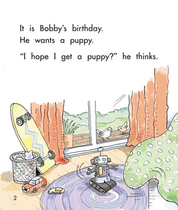 Bobby's Birthday - Level 9, 1x6 books - Image 3