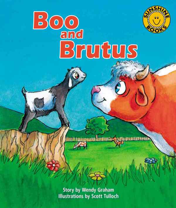 Boo and Brutus - Level 11, 1x6 books