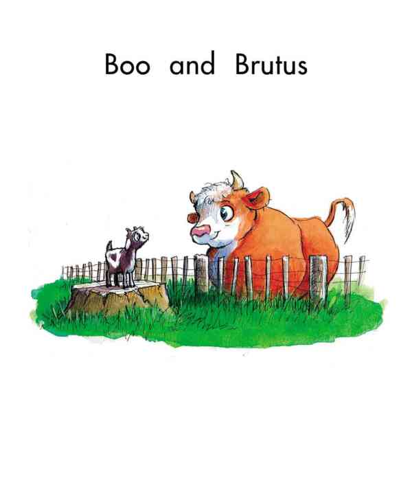 Boo and Brutus - Level 11, 1x6 books - Image 2