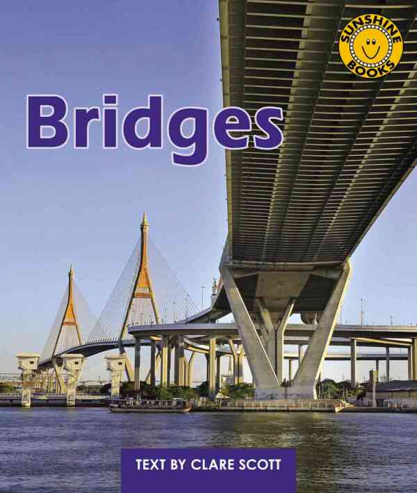 Bridges - Level 10, 1x6 books