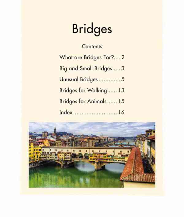 Bridges - Level 10, 1x6 books - Image 2