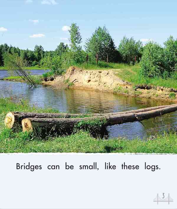 Bridges - Level 10, 1x6 books - Image 4