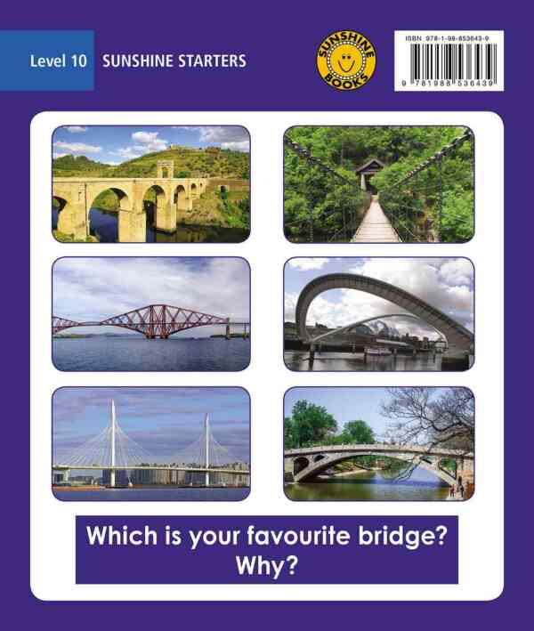 Bridges - Level 10, 1x6 books - Image 5