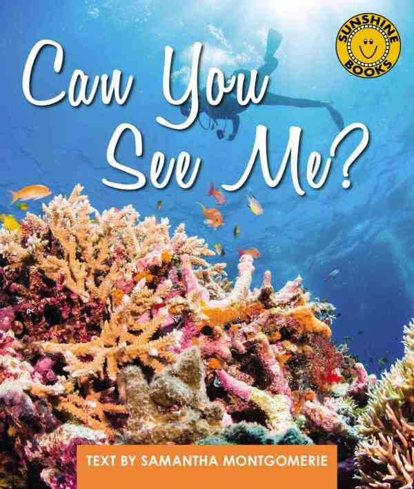 Can You See Me? - Level 11, 1x6 books