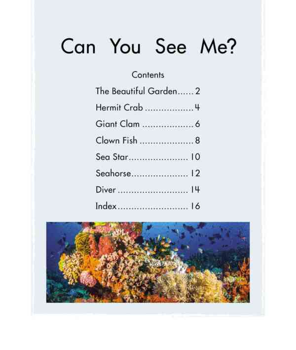 Can You See Me? - Level 11, 1x6 books - Image 2