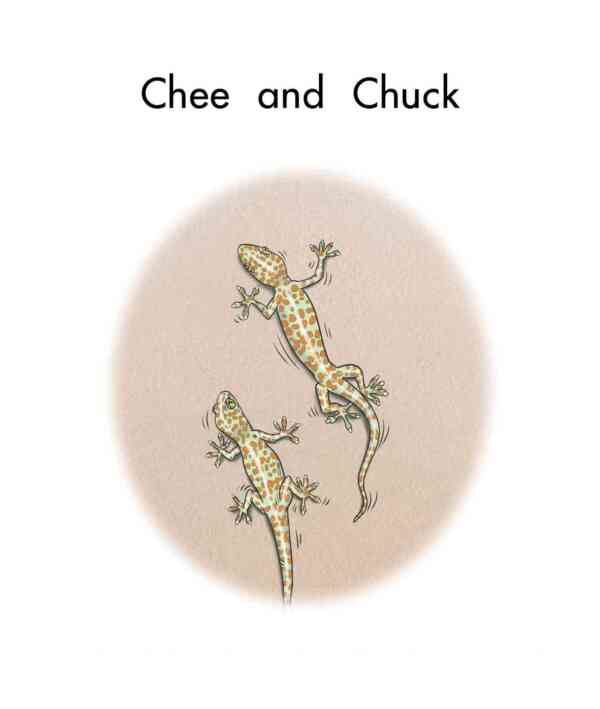 Chee and Chuck - Image 2