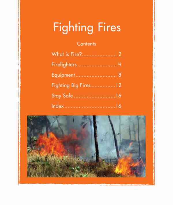 Fighting Fires - Image 2