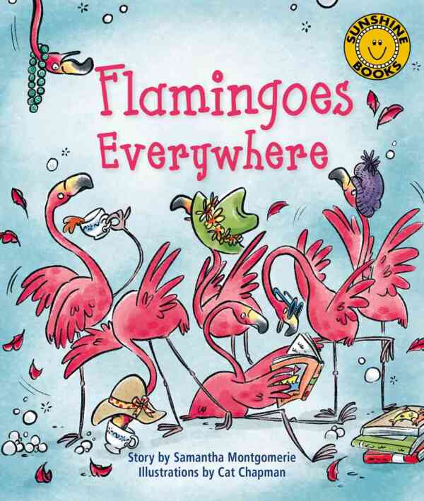 Flamingoes Everywhere - Level 9, 1x6 books