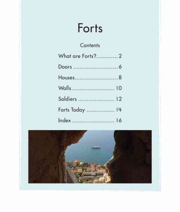 Forts - Image 2