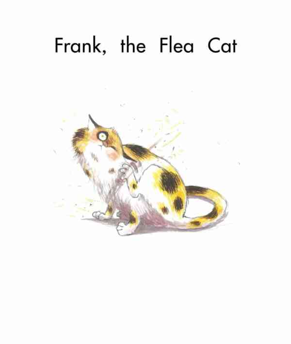 Frank the Flea Cat - Level 8, 1x6 books - Image 2