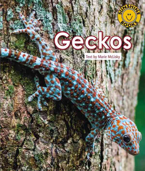 Geckos - Level 8, 1x6 books