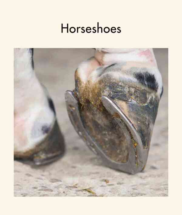 Horseshoes - Level 8, 1x6 books - Image 2