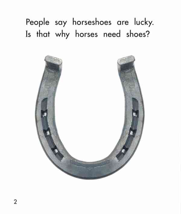 Horseshoes - Level 8, 1x6 books - Image 3