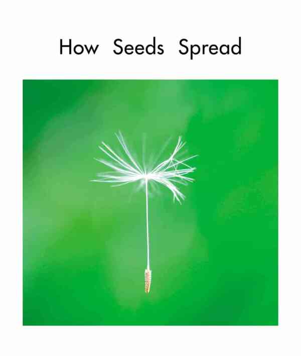 How Seeds Spread - Level 8, 1x6 books - Image 2