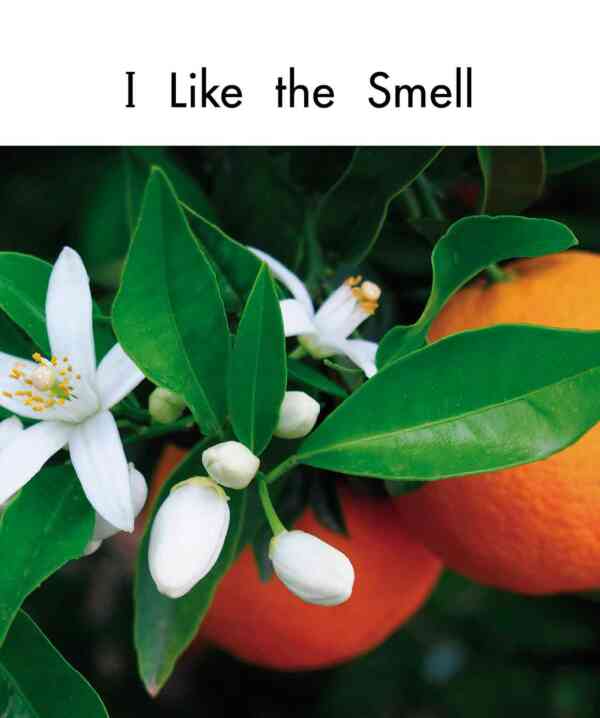 I Like the Smell - Image 2