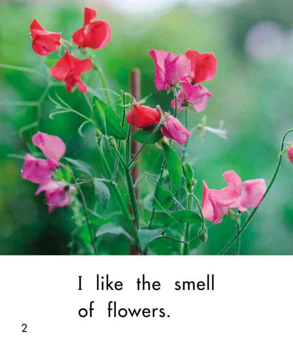 I Like the Smell - Image 3