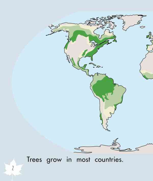 I Love Trees - Level 9, 1x6 books - Image 3