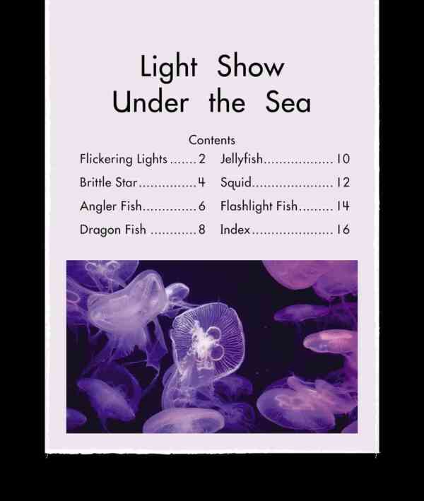 Light Show Under the Sea - Level 11, 1x6 books - Image 2