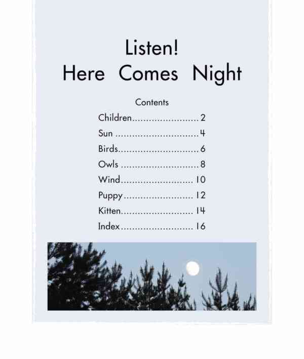 Listen! Here Comes Night - Level 10, 1x6 books - Image 2