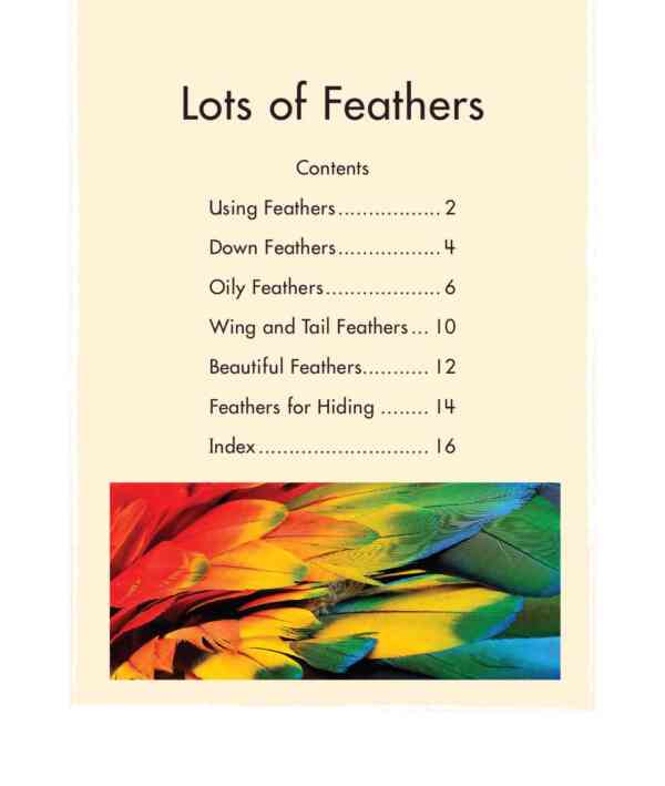 Lots of Feathers - Level 12, 1x6 books - Image 2