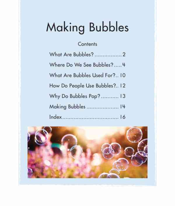 Making Bubbles - Image 2