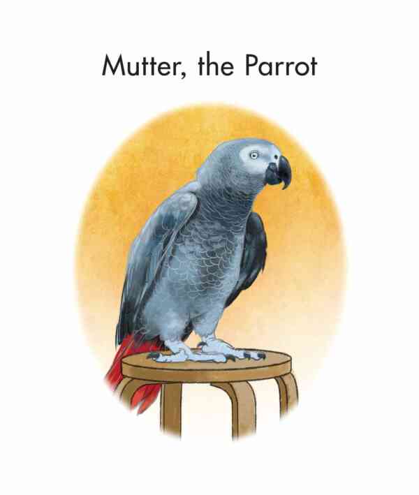 Mutter, the Parrot - Image 2