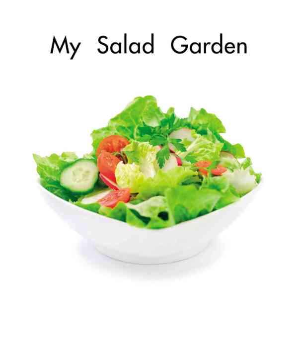 My Salad Garden - Image 2