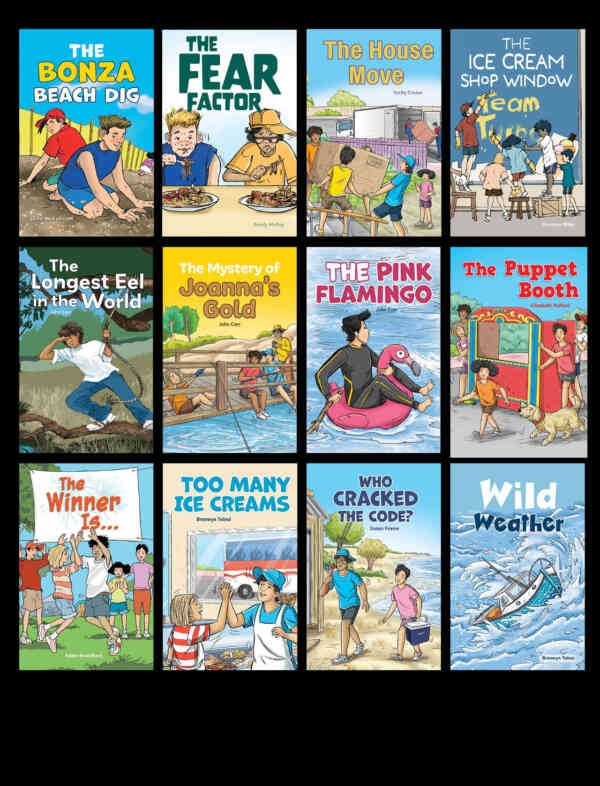 Next Steps Decodables Multipack, 5 x 36 titles - Image 4