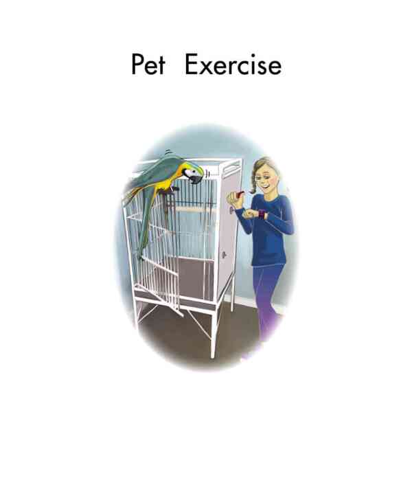 Pet Exercise - Level 3, 1x6 books - Image 2