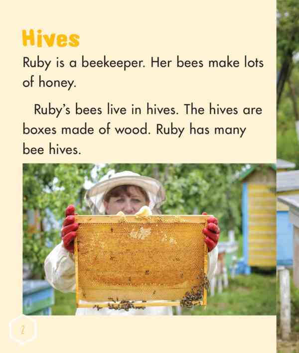 Ruby is a Beekeeper - Level 15, 1x6 books - Image 3