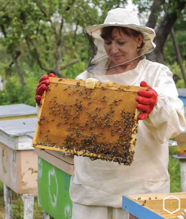 Ruby is a Beekeeper - Level 15, 1x6 books - Image 4