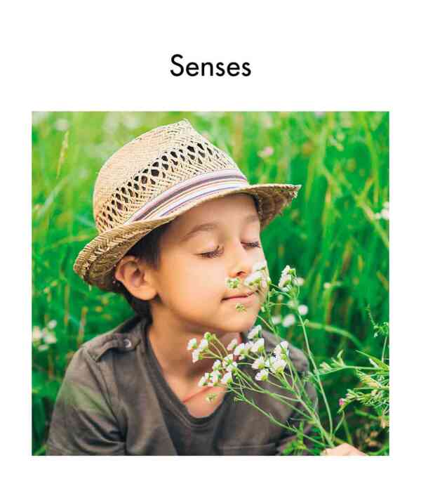 Senses - Image 2