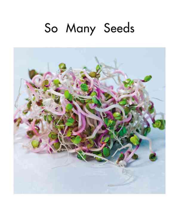 So Many Seeds - Level 6, 1x6 books - Image 2