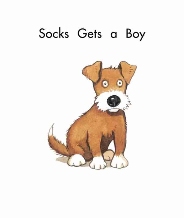 Socks Gets a Boy - Image 2