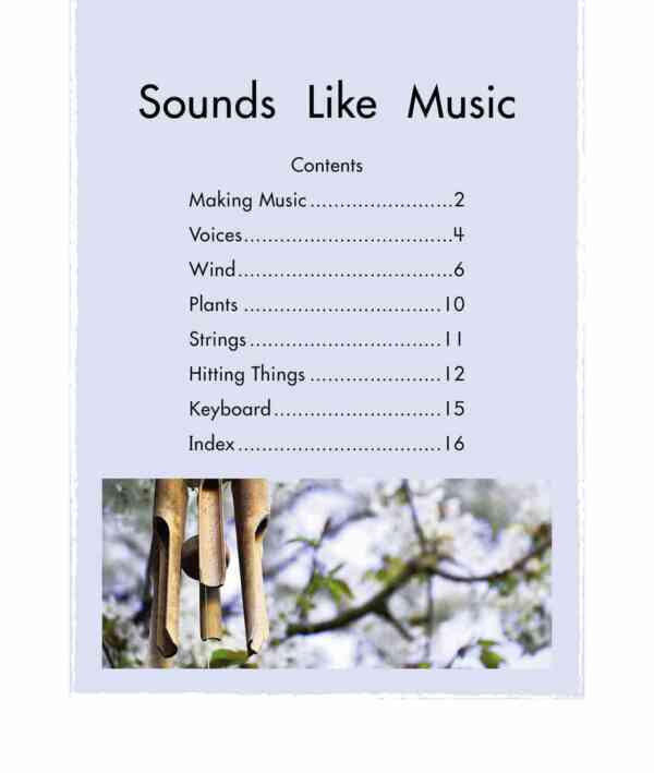 Sounds Like Music - Level 10, 1x6 books - Image 2