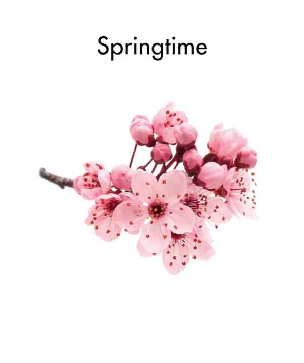 Springtime - Image 2