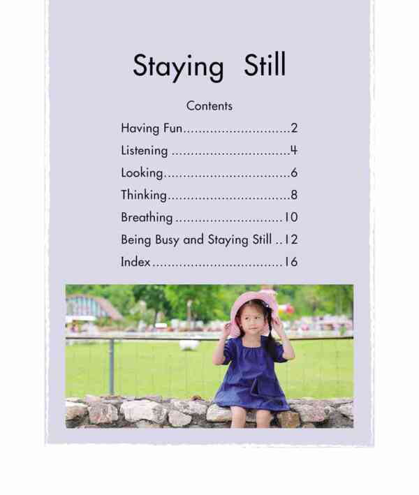 Staying Still - Level 9, 1x6 books - Image 2