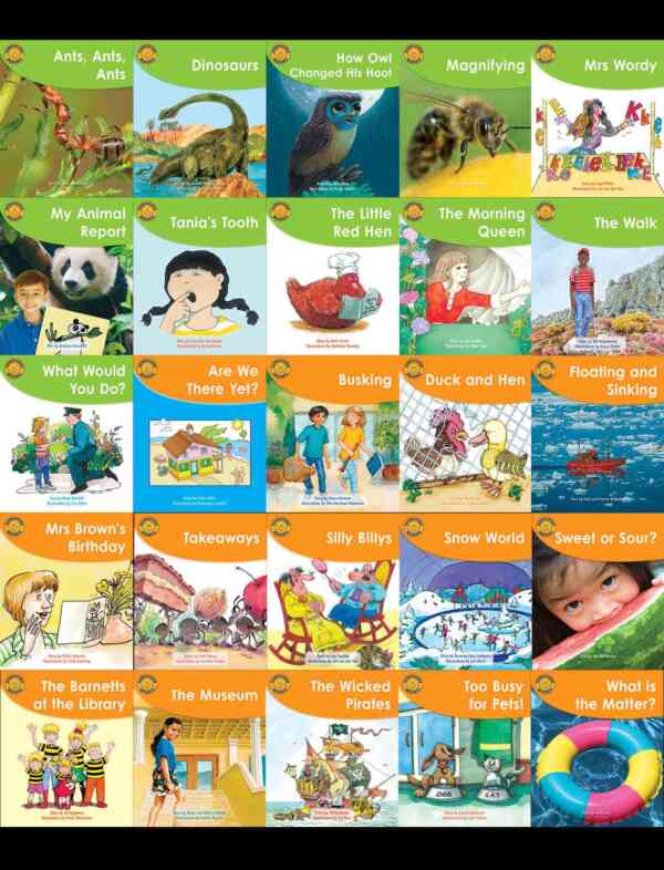 Take Home Book Pack 2 - Levels 14-20, 1 x 60 titles - Image 2