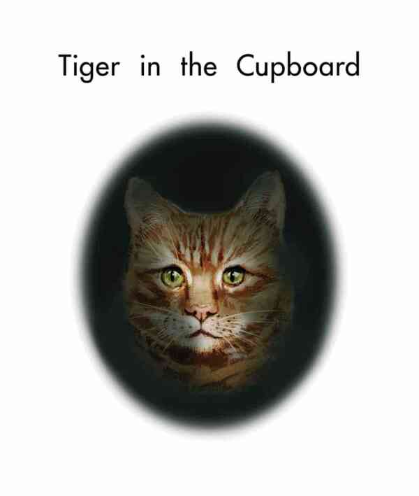 Tiger in the Cupboard - Level 7, 1x6 books - Image 2