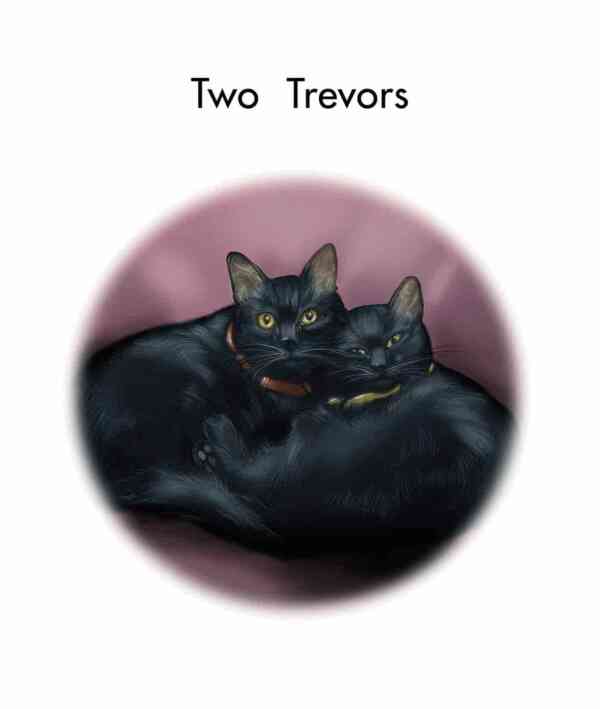 Two Trevors - Level 10, 1x6 books - Image 2