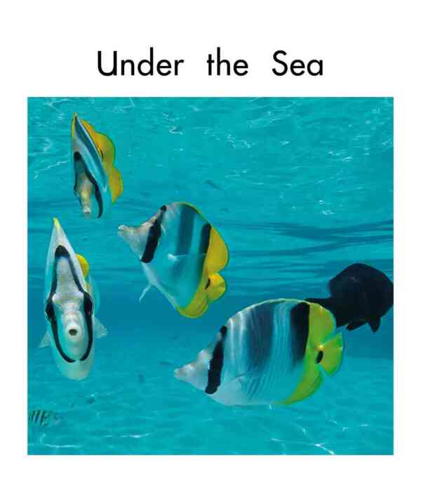 Under the Sea - Level 1, 1x6 books - Image 2